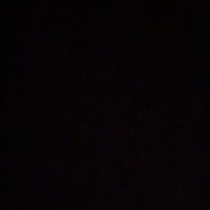 Meet your Posher, Charley